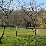 Bochmann 아파트 *