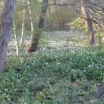 Bochmann 아파트 *