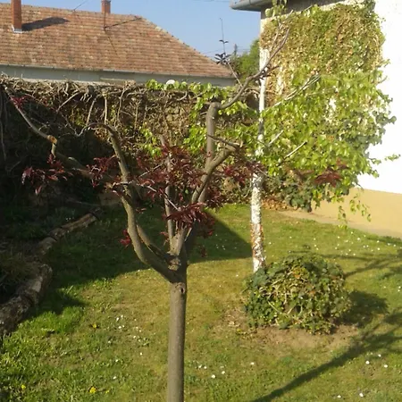 Bochmann Appartement