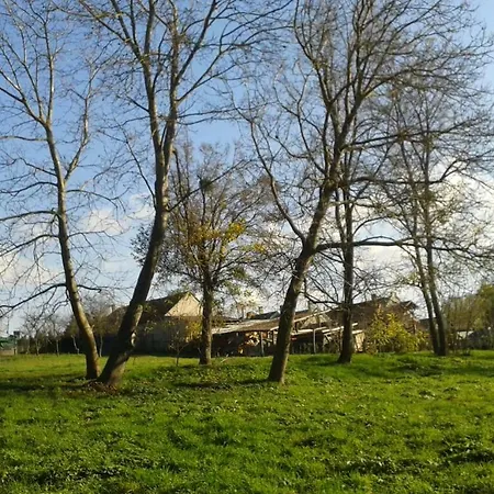 Apartamento Bochmann Zalaszanto