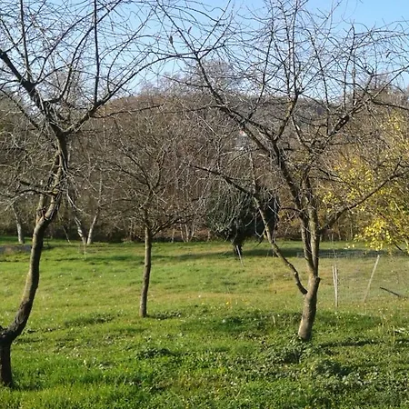 Bochmann Apartamento *