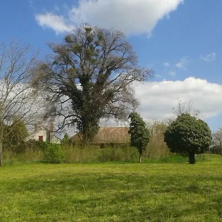 Bochmann Appartement *