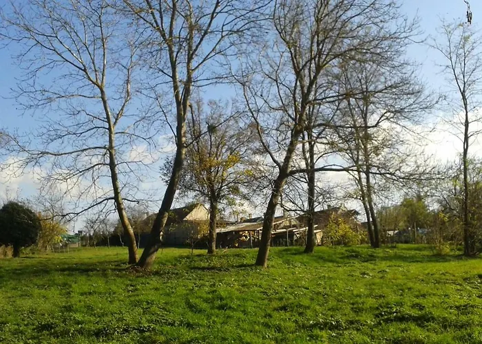 アパート Bochmann Zalaszántó