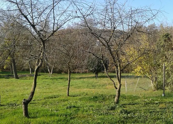 Bochmann アパート *