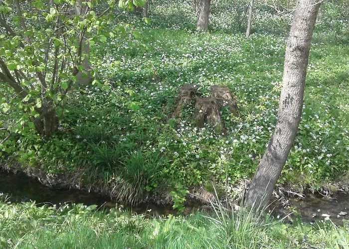 Bochmann * Zalaszántó